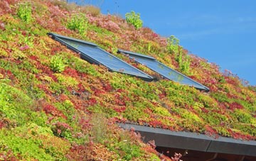 Palmersbridge living roof systems